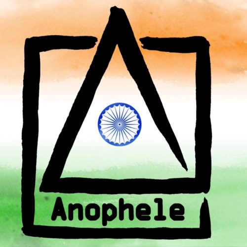 Projet Solidaire en Inde / Anophèle