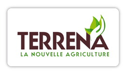 Terrena